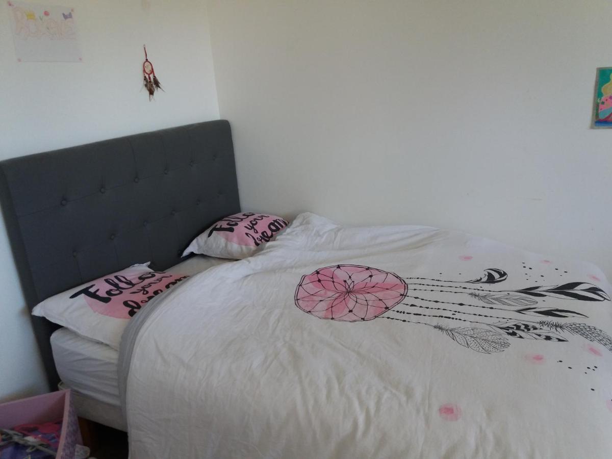 Chambres, Cuisine, Piscine, Spa, Billards, Airhockey, Nature Fillinges Exterior foto